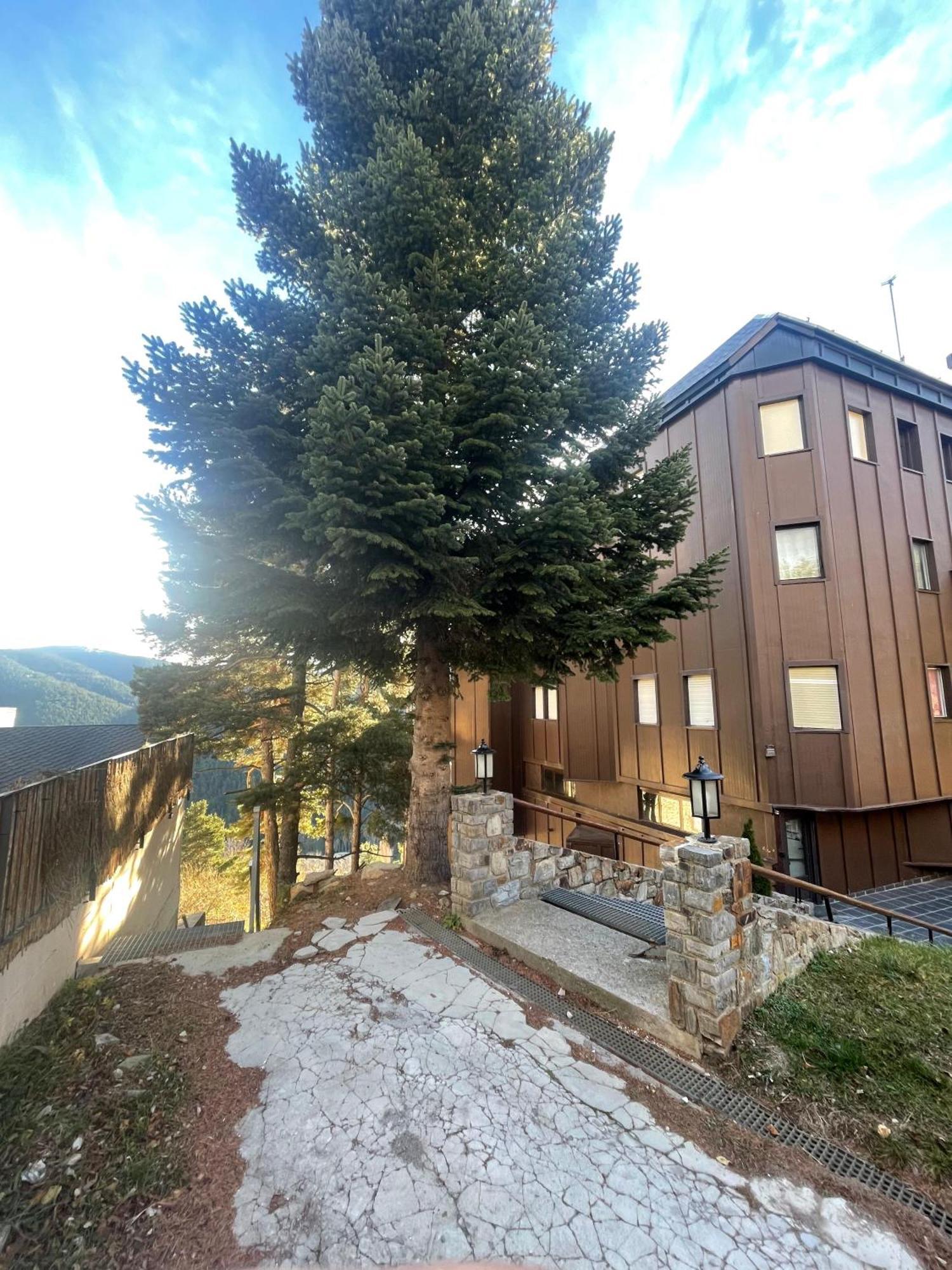 Apartamento Acogedor En La Molina, 2Hab, Wi Fi La Molina  Eksteriør billede